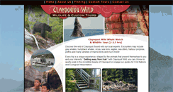 Desktop Screenshot of clayoquotwild.com